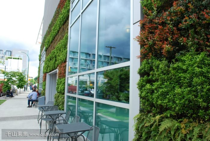 墙面垂直绿化为城市生态添砖加瓦