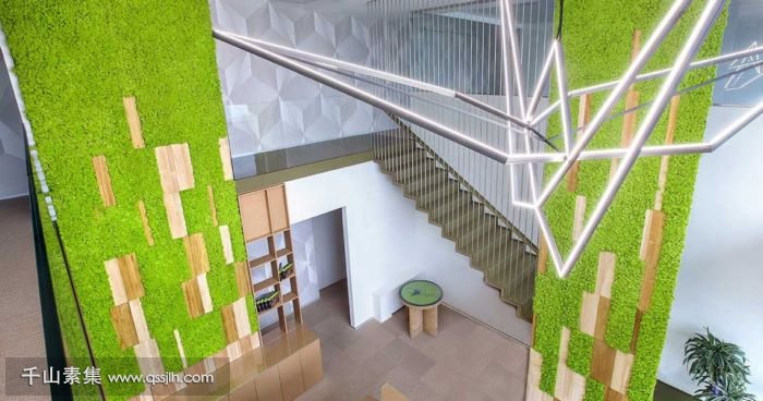Rigon造纸厂植物墙 苔藓搭配原木清新自然