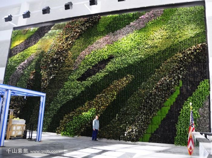 混搭式植物墙