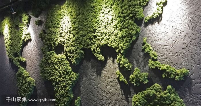【深圳植物墙】苔藓植物墙定制的世界地图