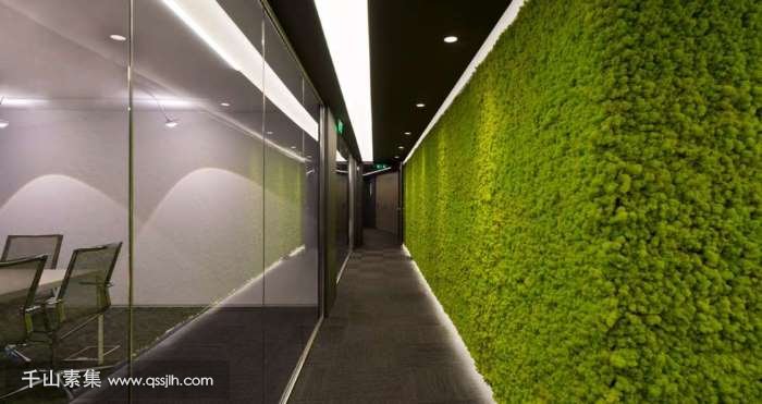 上海植物墙