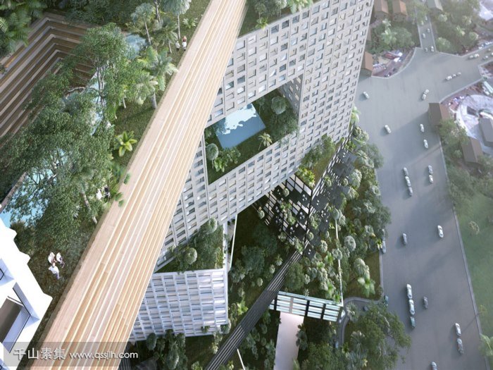 建筑垂直绿化