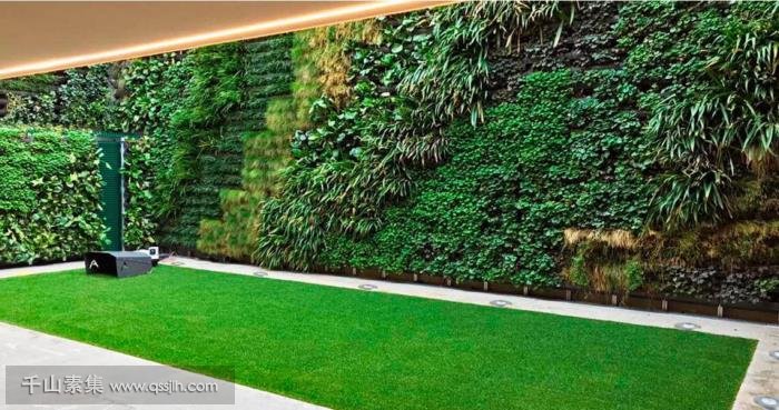 梯田式别墅植物墙 庭院垂直绿化新主张