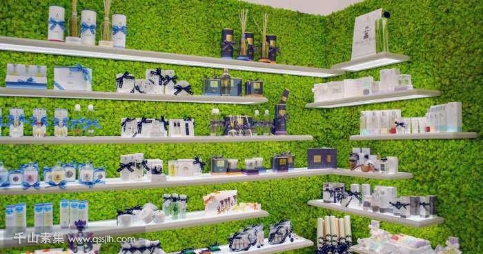 【昆明植物墙】香水商店植物墙 原生态装饰天然原料