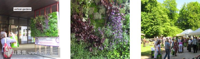 Passiflora花园植物墙 私家花园的体验
