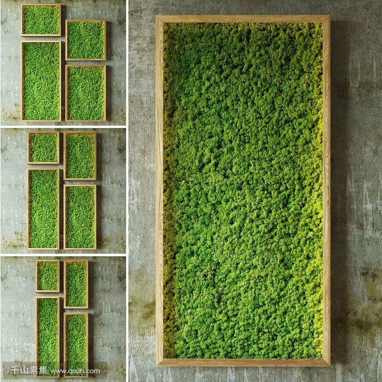 【黄山植物墙】苔藓植物墙景观设计规划方案推荐