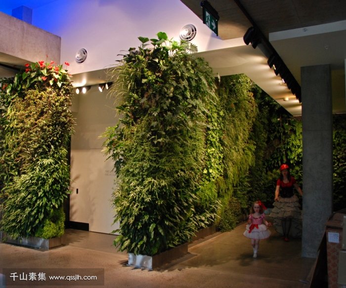 生态绿植墙