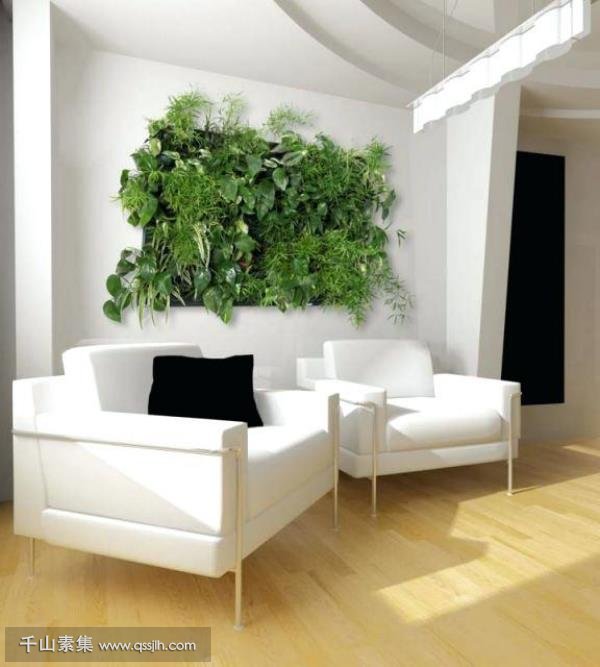 植物墙装饰