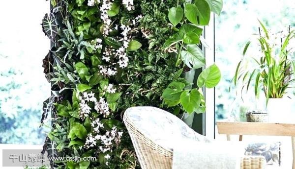 植物墙装饰