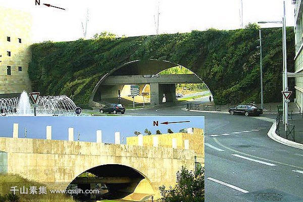 立交桥立体绿化打造城市绿化新地标
