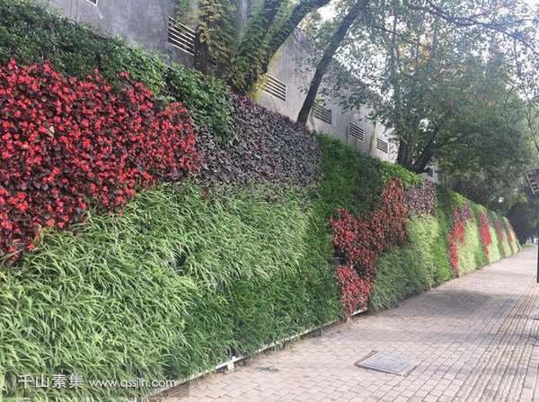 挡土墙立体绿化