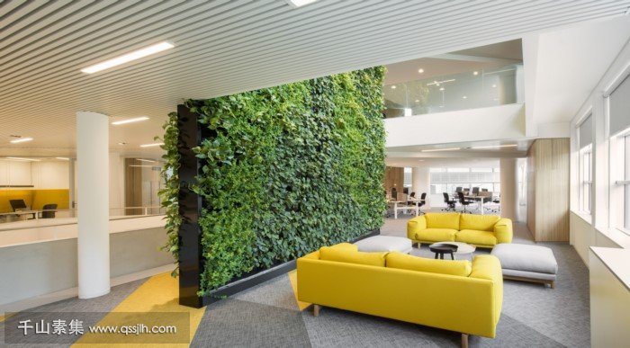 办公空间植物墙