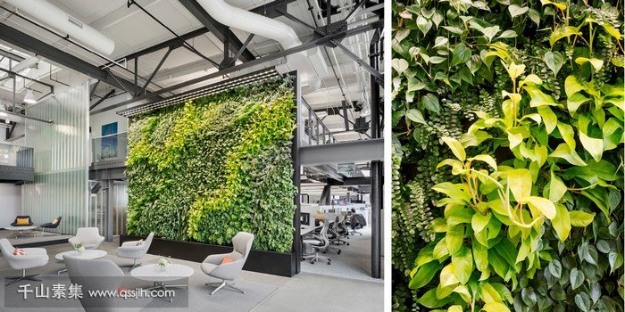 公室垂直绿化