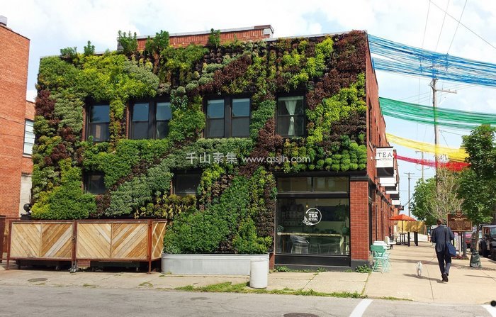 植物墙与建筑的完美融合