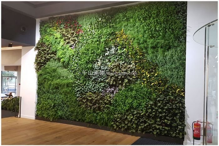 Avolon的植物墙 创造亲和性的设计感