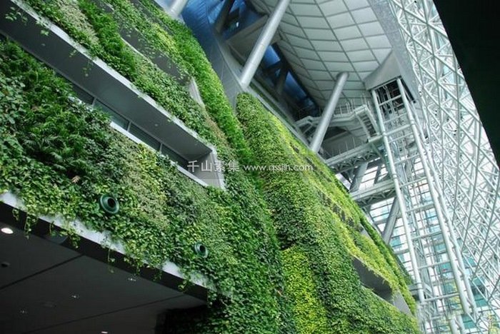 首尔新市政厅绿植墙，概念的延伸