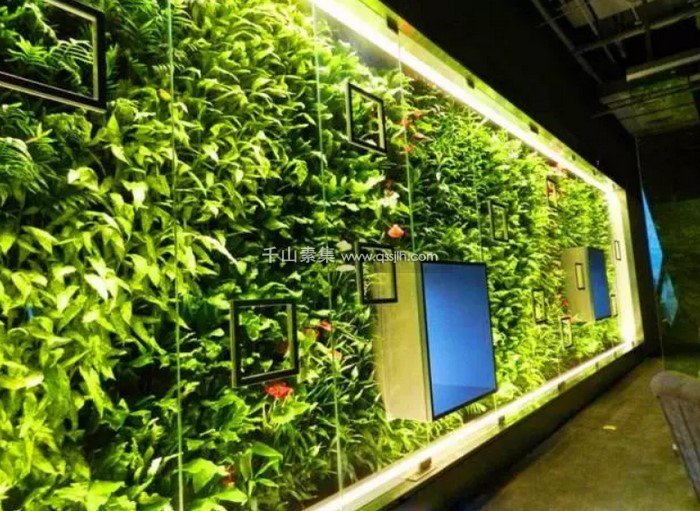 植物墙的补光设计：轨道式射灯的运用
