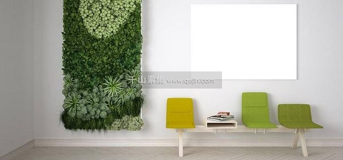打造室内植物墙