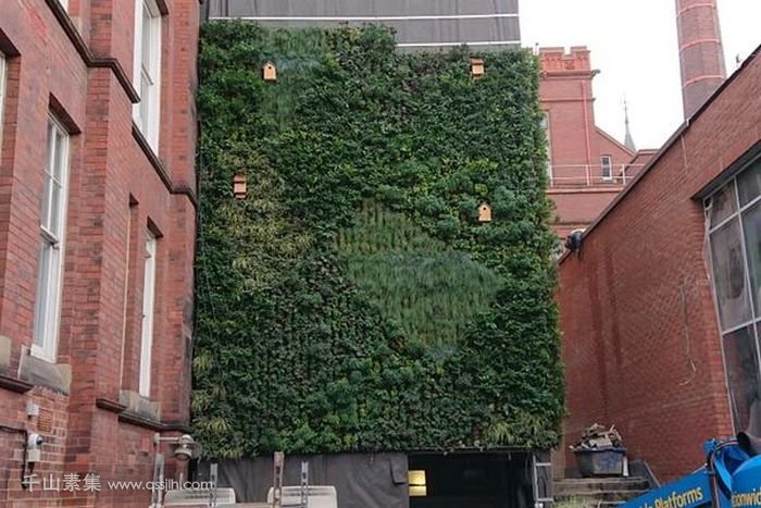 Sutherland Building, Northumbria University的植物墙，强烈的认同感