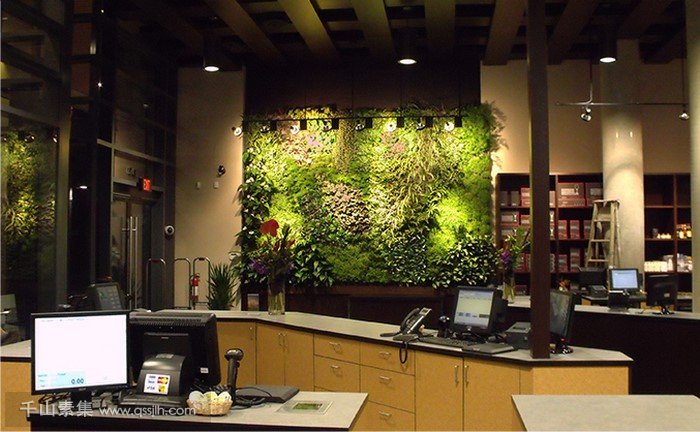 植物墙，创造生态健康的办公环境