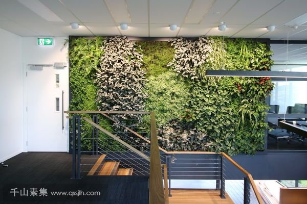 办公室植物墙设计的三要素，过来涨知识