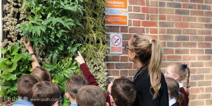 Hindhead校园植物墙，为孩子们普及环境保护概念