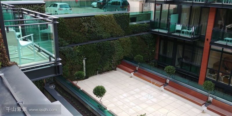布拉沃旅馆垂直绿化，葱郁的庭院植物墙