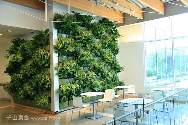 现代装饰中，植物墙如何设计