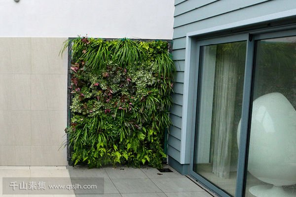 布伊之家别墅露台植物墙，鲜活的绿色元素