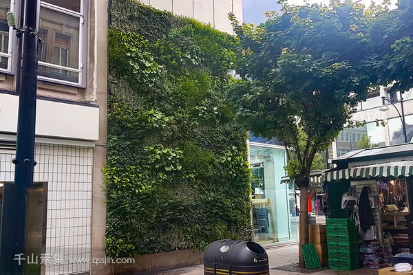 智能街区植物墙