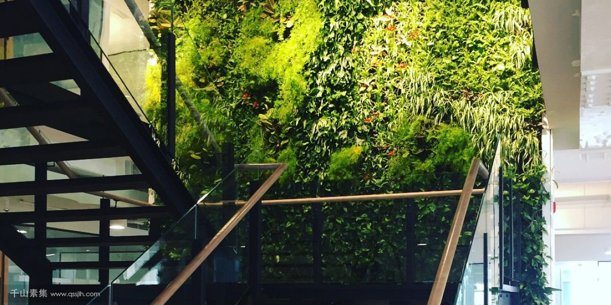 迪拜房地产集团总部植物墙，葱郁的办公空间