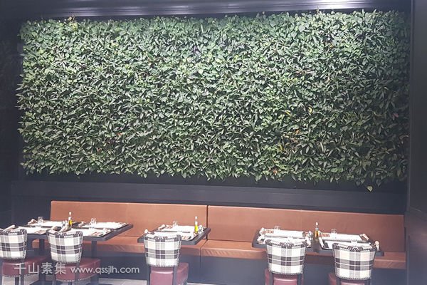 Harrods餐厅植物墙