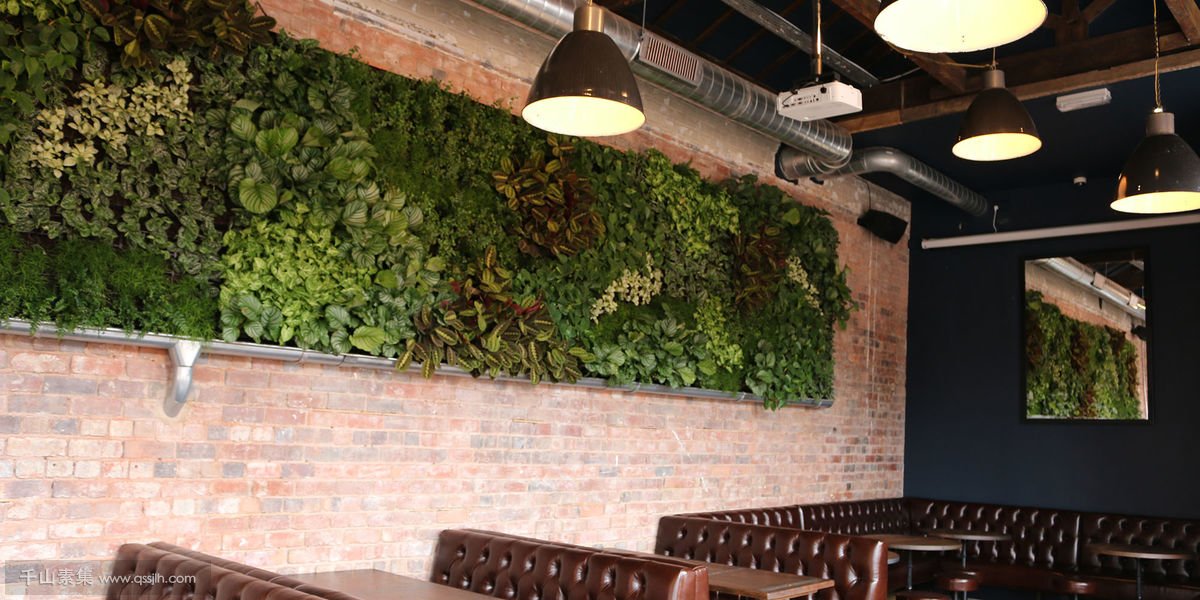餐厅室内植物墙，金属边框工业风