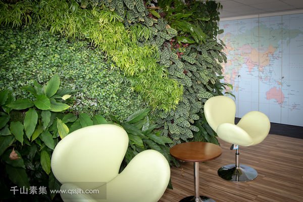 生态办公室植物墙