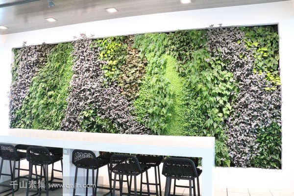 机场休息区植物墙