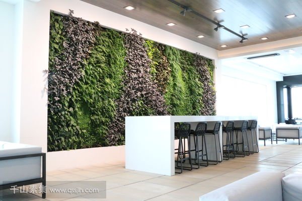机场休息区植物墙