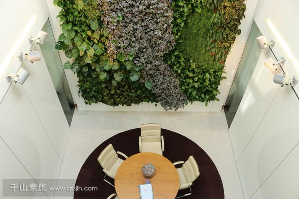 室内绿化墙植物墙