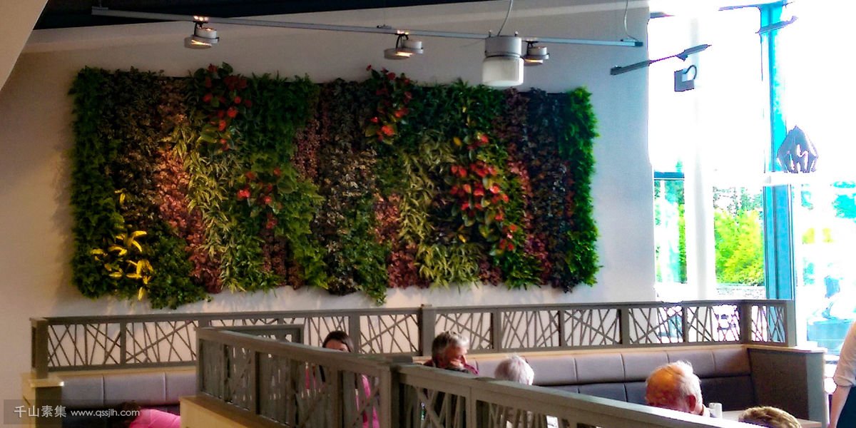 用餐区垂直绿化植物墙