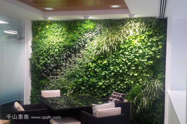 公司室内植物墙