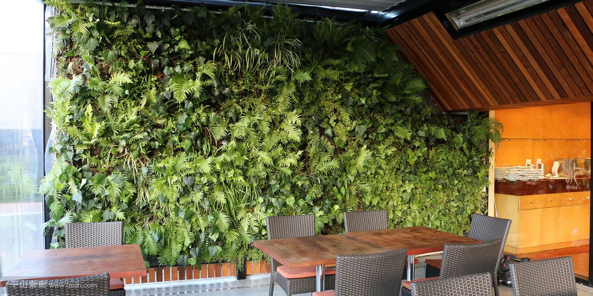 酒店室内植物墙，打造辨识度高的用餐区