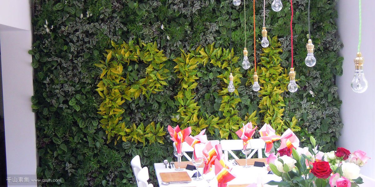 别墅室内餐厅背景植物墙，用餐也要有仪式感