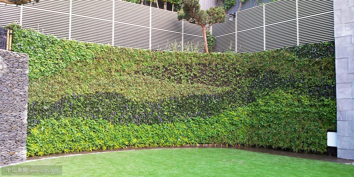 挡土墙植物墙