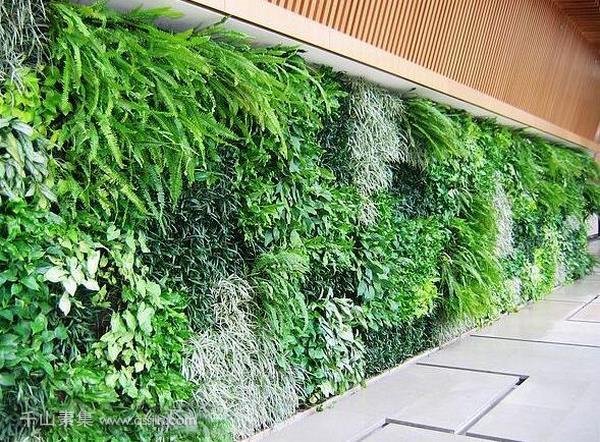 仿真植物墙是否环保？该如何保养