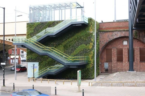 植物墙之于城市绿化的优点有哪些？