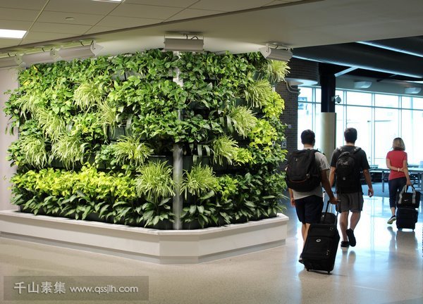 植物墙城市绿化