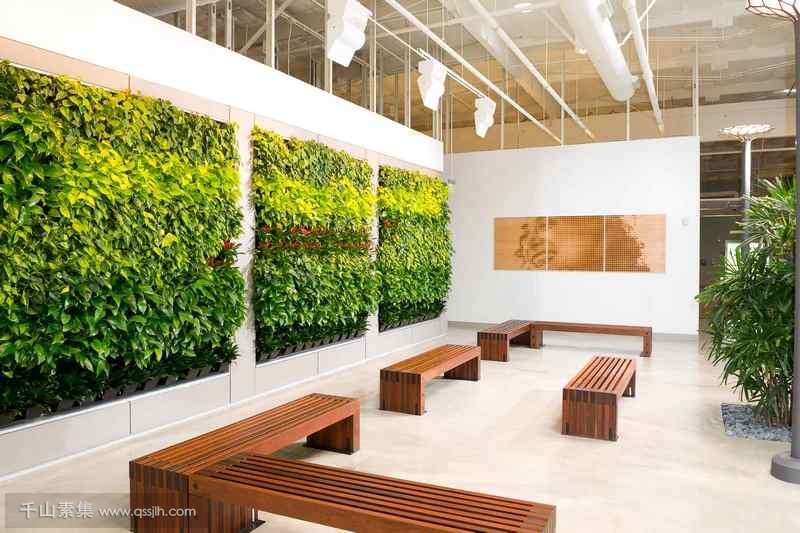 办公室植物墙，如何改善办公环境的？